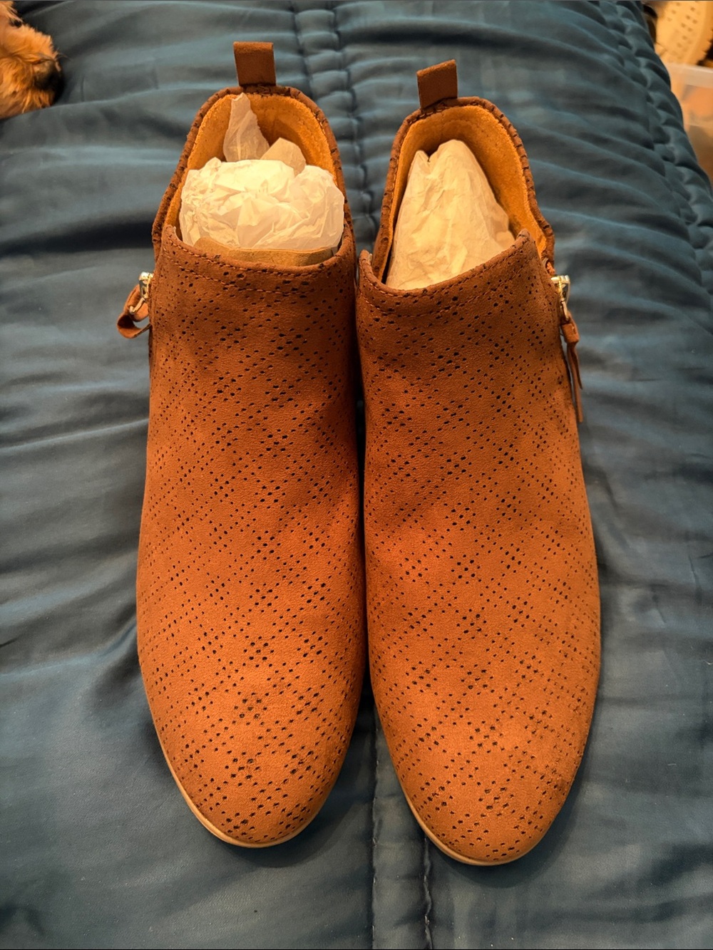 NWT Dr. Scholl's Tan Perforated Suede Ankle Booties